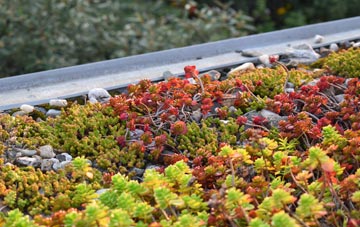 the cost of Chilmington Green green roof installation