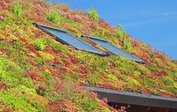 Chilmington Green living roof systems