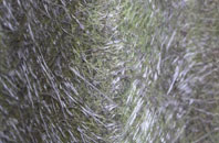 Chilmington Green fibreglass roof work